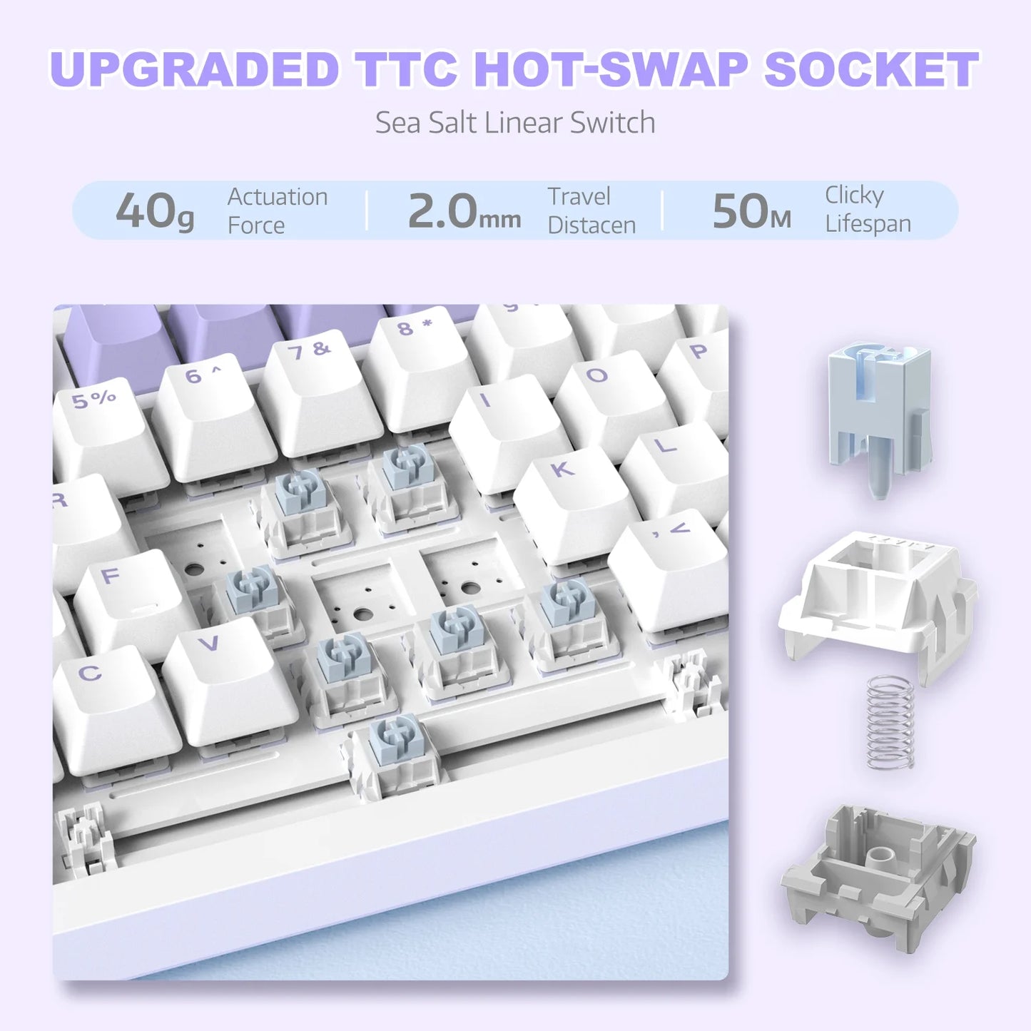 AK820 Mechanical Keyboard with CNC Knob Control,82Keys Gasket Mount Wired Gaming Keyboard,75% ANSI Layout,5 Sound Absorbing Foam,Hot-Swappable,White Backlit,For PC,MAC (White&Purple)